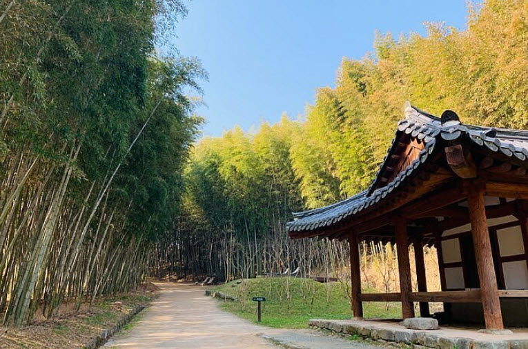 Damyang Bamboo Forest (Juknokwon), Damyang, South Jeolla Province, South Korea